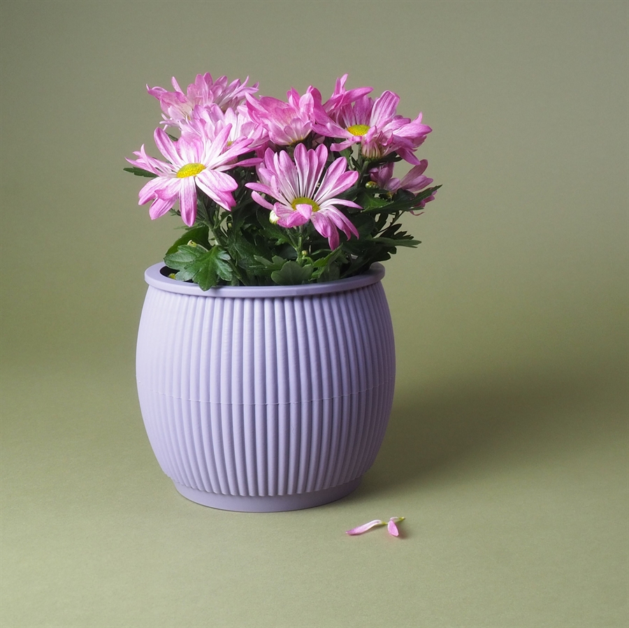 Chubby flowerpot Lavender